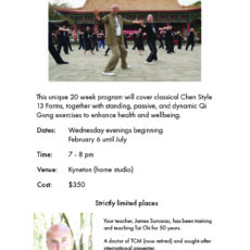 James Tai Chi Poster 2025